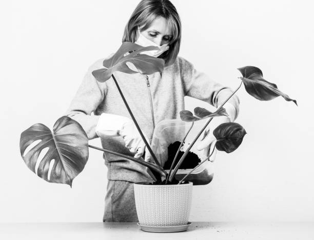 Garden Gloves